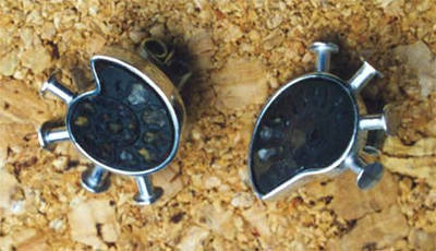 some ear rings