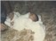 Me as A baby