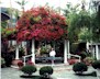 Garden at our Hotel