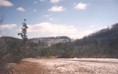 Family Farm in Floyd County