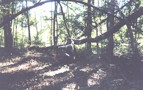 Me Bow Hunting