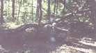 Me Bow Hunting Again