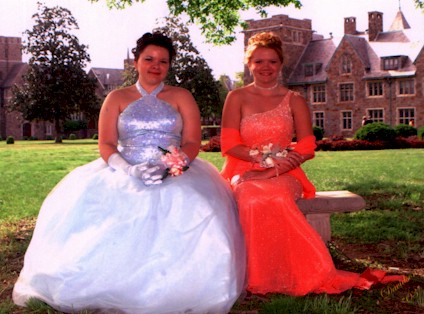 sprom5.jpg (50158 bytes)