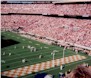 Touchdown Big Orange