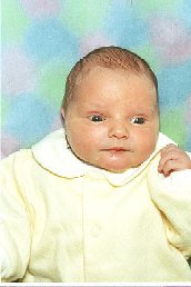 tristen2.jpg (10914 bytes)