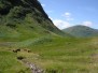 Glencoe and some Highland Cows - click to enlarge