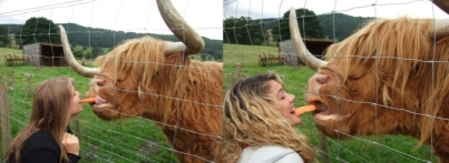Inma & Sandra give Hamish a 'Carrot Kiss'!
