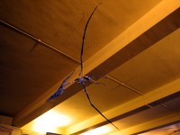 pterasaur