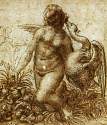 leda2.jpg