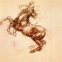 leonardo_rearing_horse.jpg