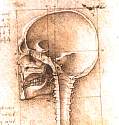 skull2.jpg