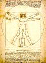 study_proportions.jpg