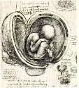 womb.jpg