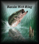 Bassin WebRing