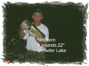 Jerry Weaver caught this 6 pound largemouth while thumping the grass in Oklahoma's Crowder Lake at 12:30 a.m. using a white T-2&nbsp; spinnerbait with a white colorado blade!&nbsp; 