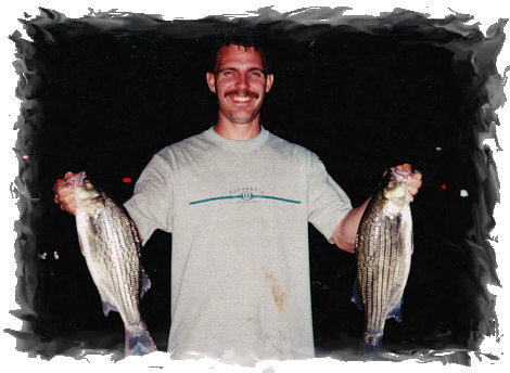 When you find a school of these, be careful how many you catch! They can make your arm REALLY hurt! 