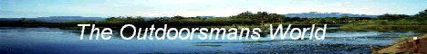 Copy and paste the text below to add this banner to your site!