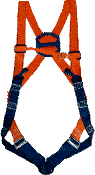 Harness ARG2