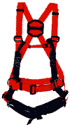 Harness ARG40