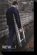 Telescopic Ladder Demo