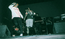 Da Weasel Live