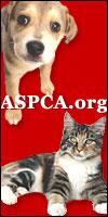 The American Society For the Prevention of Cruelty to Animals