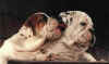 bullykisses.jpg (25436 bytes)