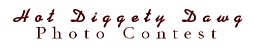 hotdigtop.gif (4486 bytes)