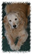 sept02_chief2.jpg (8010 bytes)