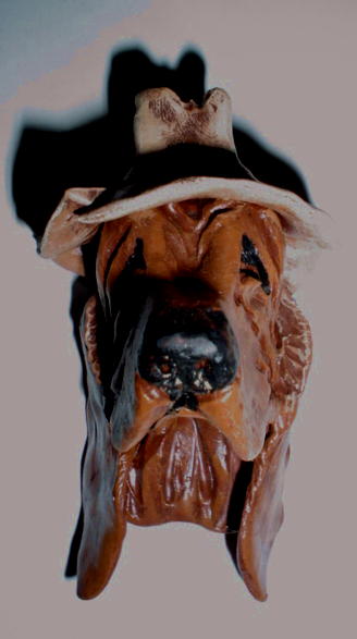 bloodhound jed