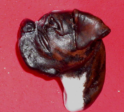 boxer
