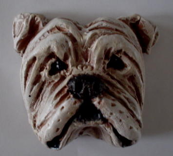 bulldog