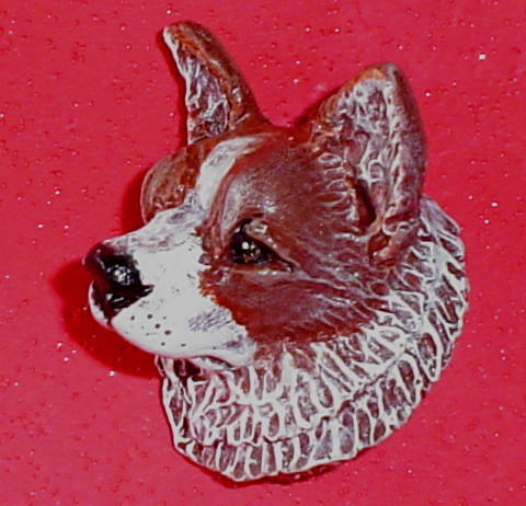 corgi