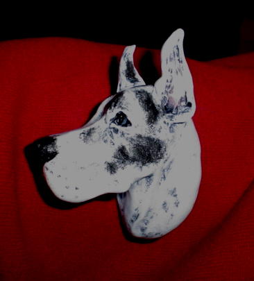 dane