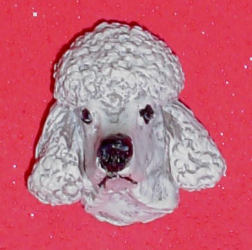 poodle