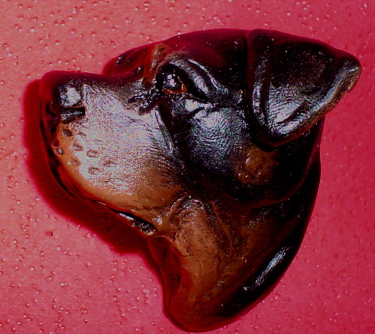 rott