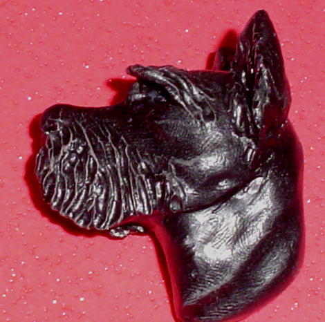 scottie