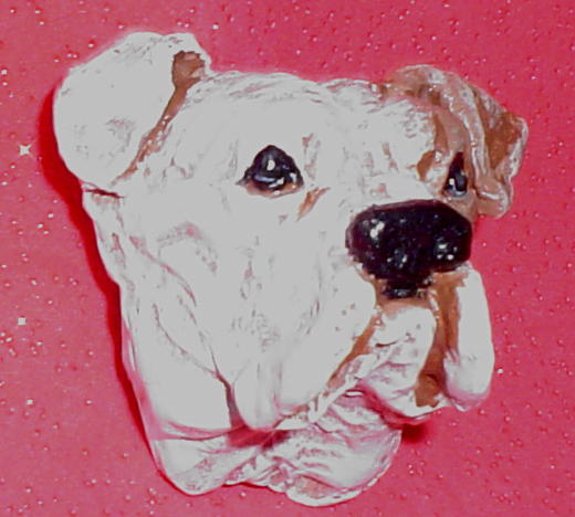 am bull