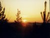 Totland's Sunset