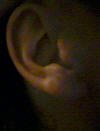 ear