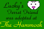 ADOPT YOURS
   TODAY!