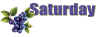 sd-blueberries-saturday.jpg (42323 bytes)