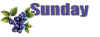 sd-blueberries-sunday.jpg (40384 bytes)