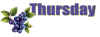 sd-blueberries-thursday.jpg (41225 bytes)