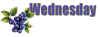 sd-blueberries-wednesday.jpg (44199 bytes)