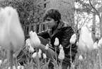 Micah in Tulips