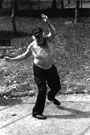 Dancing Days