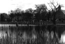 Lake of the Isles