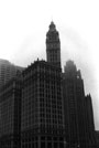 Wrigley Building, Chicago