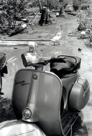 Motorbike